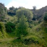 Beaumont Quarry