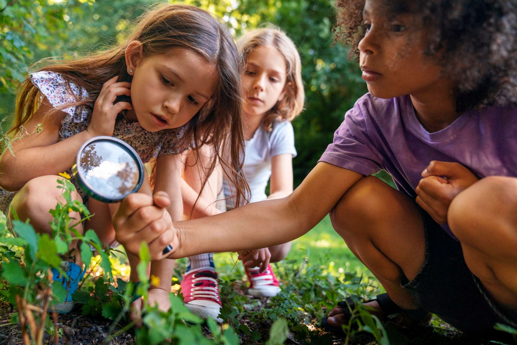 children learning about nature